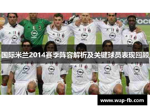 国际米兰2014赛季阵容解析及关键球员表现回顾