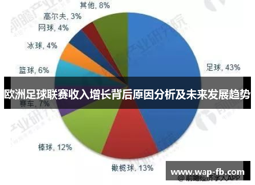 欧洲足球联赛收入增长背后原因分析及未来发展趋势