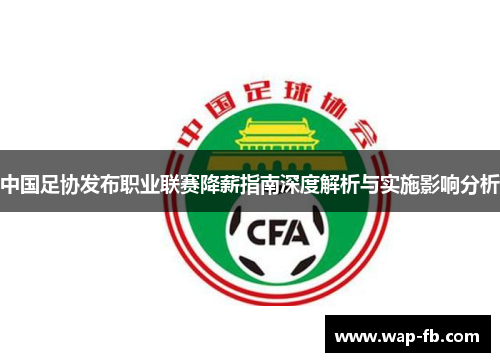中国足协发布职业联赛降薪指南深度解析与实施影响分析