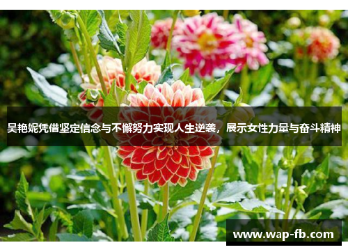 吴艳妮凭借坚定信念与不懈努力实现人生逆袭，展示女性力量与奋斗精神