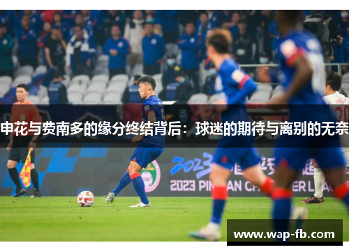 申花与费南多的缘分终结背后：球迷的期待与离别的无奈