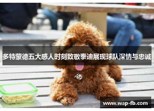 多特蒙德五大感人时刻致敬泰迪展现球队深情与忠诚