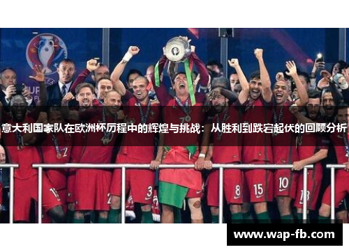 意大利国家队在欧洲杯历程中的辉煌与挑战：从胜利到跌宕起伏的回顾分析