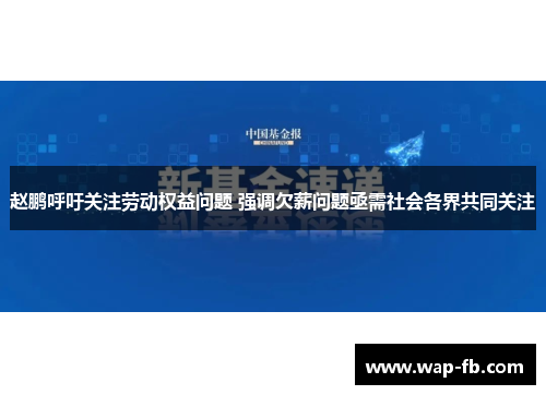 赵鹏呼吁关注劳动权益问题 强调欠薪问题亟需社会各界共同关注