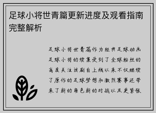 足球小将世青篇更新进度及观看指南完整解析