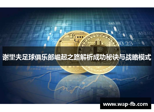 谢里夫足球俱乐部崛起之路解析成功秘诀与战略模式
